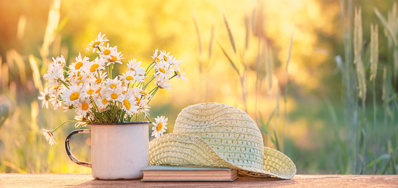 Summer Planting Ideas By Region – Mother Earth News - Vimarsana News